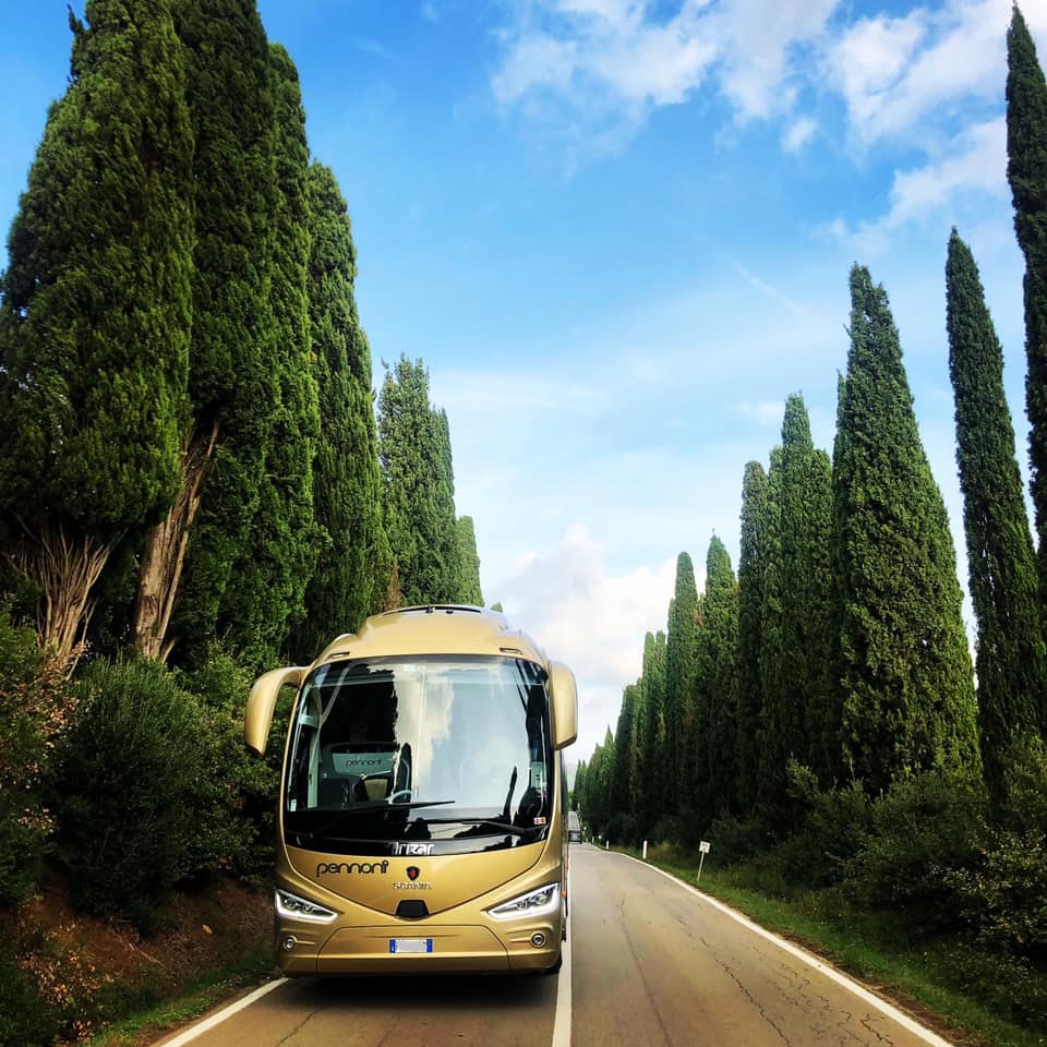 Tour in bus e servizi ncc